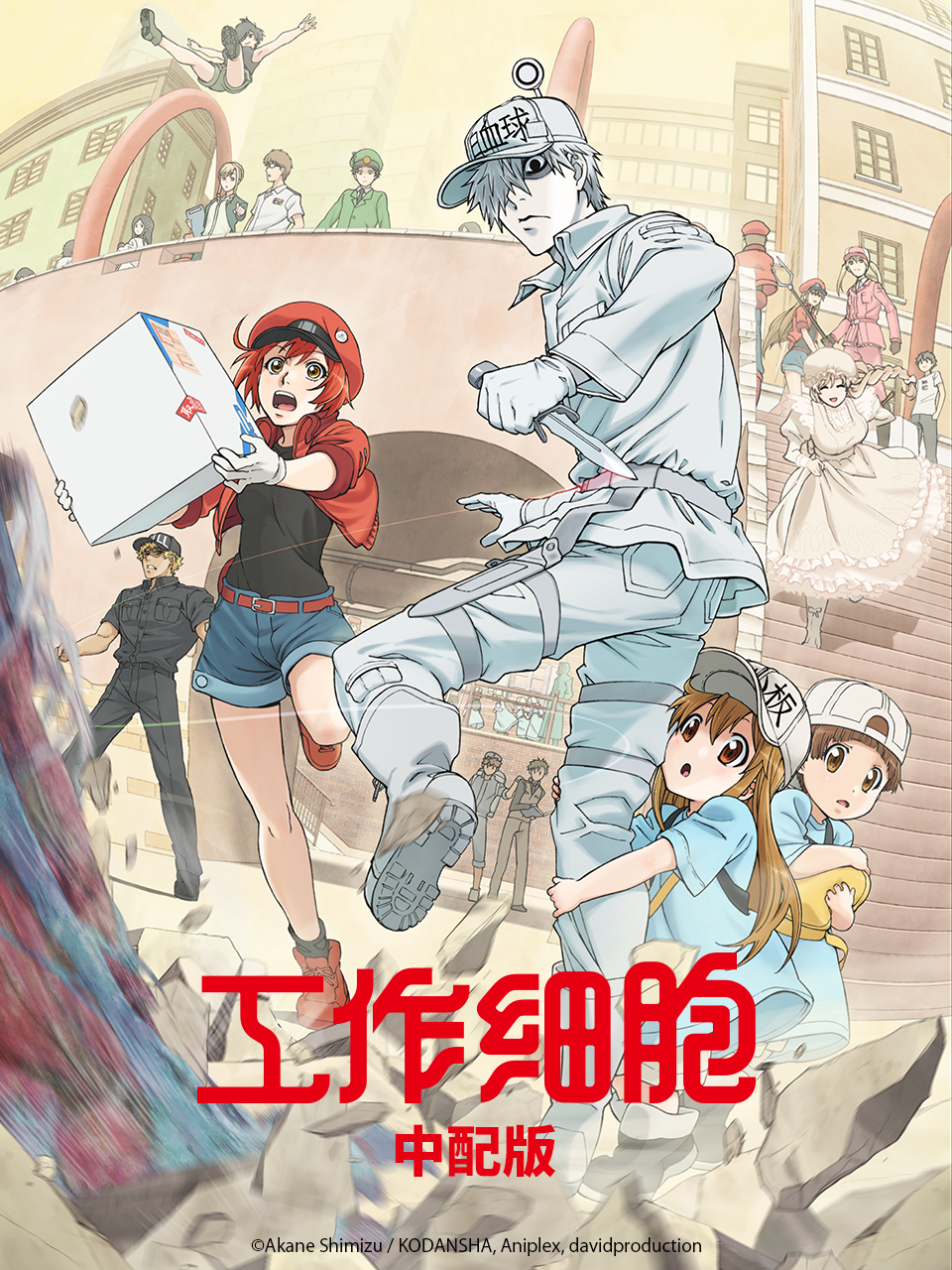 工作细胞普通话版