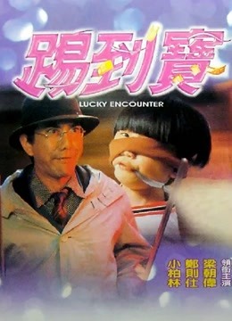 踢到宝粤语版
