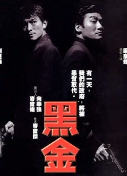 黑金粤语版